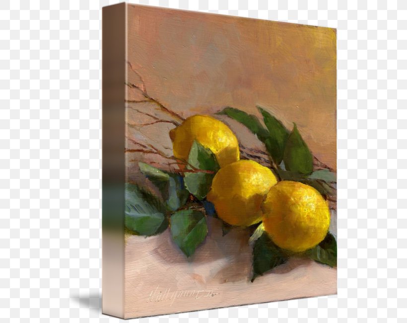 Lemon Watercolor Painting Still Life Art, PNG, 553x650px, Lemon, Art, Artwork, Branch, Canvas Download Free