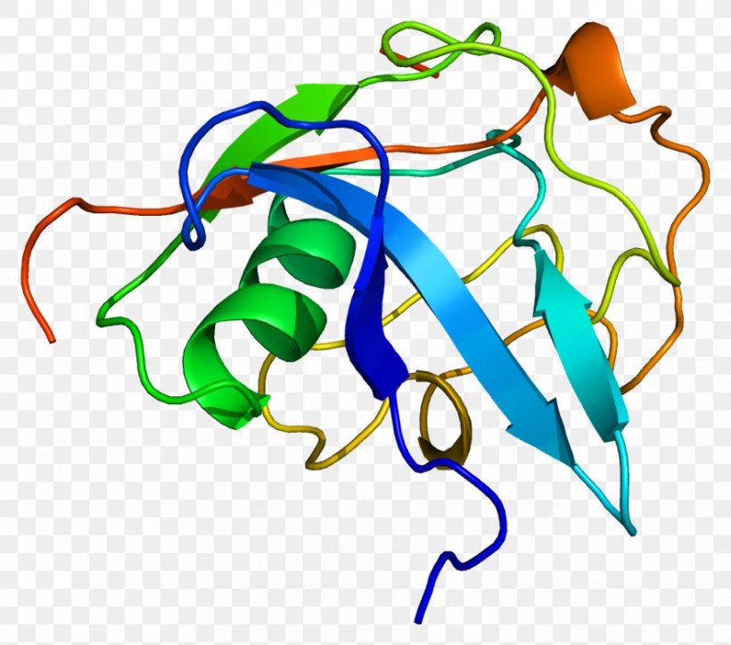 LGALS3BP Galectin-3 Lectin, Galactoside-binding, Soluble, 3 Binding Protein, PNG, 884x780px, Galectin, Area, Artwork, Cell, Cell Adhesion Download Free