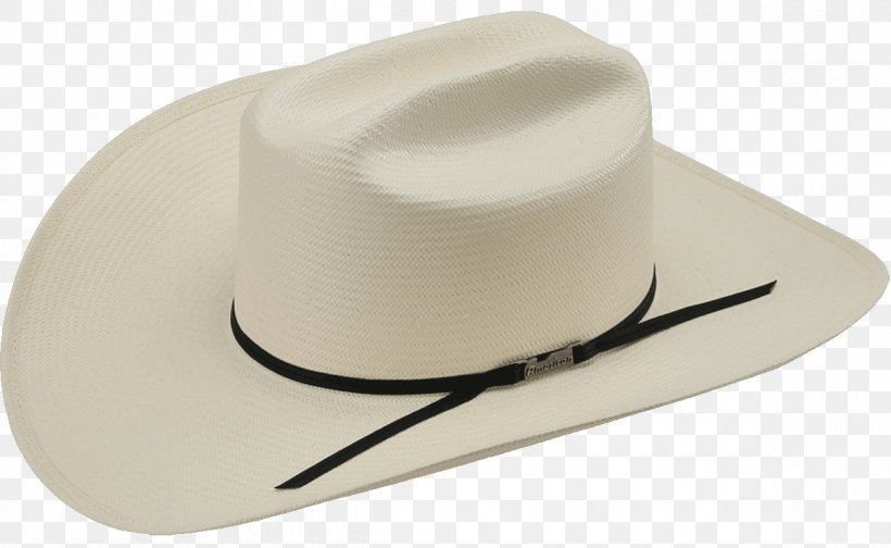 Straw Hat Color, PNG, 1200x738px, Hat, American Hat Company, Americans, Color, Fashion Accessory Download Free