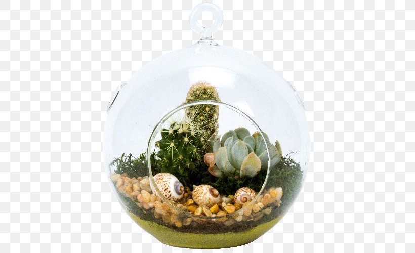 Terrarium Succulent Plant Houseplant Tillandsia, PNG, 500x500px, Terrarium, Arid, Christmas Ornament, Dodecahedron, Flowerpot Download Free