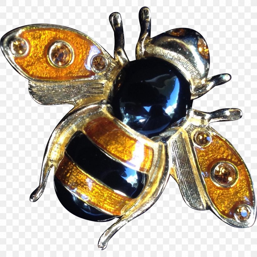 Beetle Pollinator Brooch Jewellery, PNG, 1349x1349px, Beetle, Amber, Arthropod, Bee, Brooch Download Free