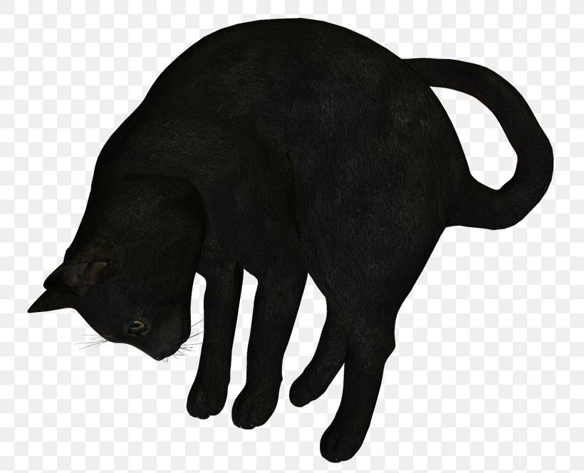Black Cat Clip Art, PNG, 800x664px, Black Cat, Animal, Animation, Black, Blog Download Free