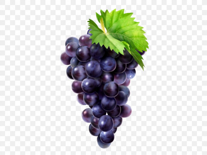 Common Grape Vine Zante Currant Minnesota 78, PNG, 866x650px, Common Grape Vine, Accessory Fruit, Berry, Concord Grape, Currant Download Free