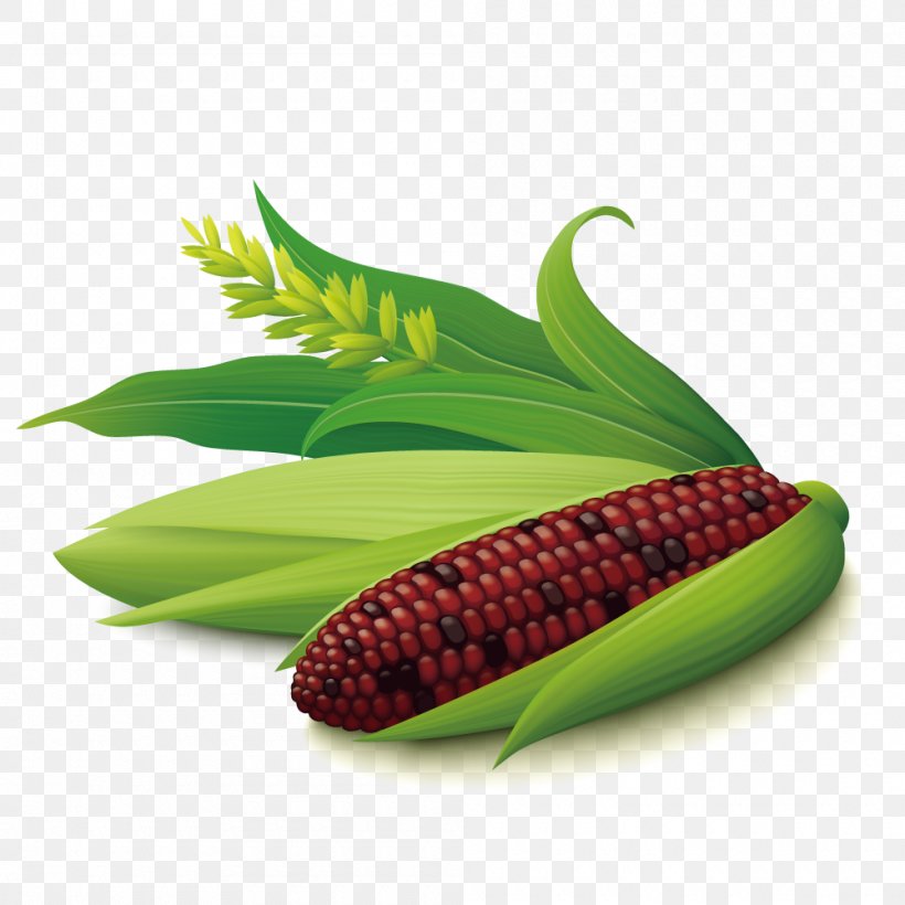 Corn On The Cob Maize Euclidean Vector, PNG, 1000x1000px, Corn On The Cob, Commodity, Corncob, Food, Fruit Download Free