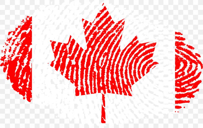 Flag Of Canada United States A Mari Usque Ad Mare, PNG, 1280x809px, Canada, Area, Black And White, Canadian Celiac Association, Canadian Identity Download Free