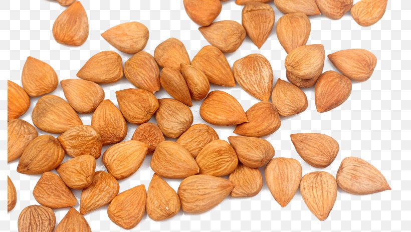 Hazelnut Almond Apricot, PNG, 790x463px, Hazelnut, Almond, Apricot, Apricot Kernel, Cereal Download Free