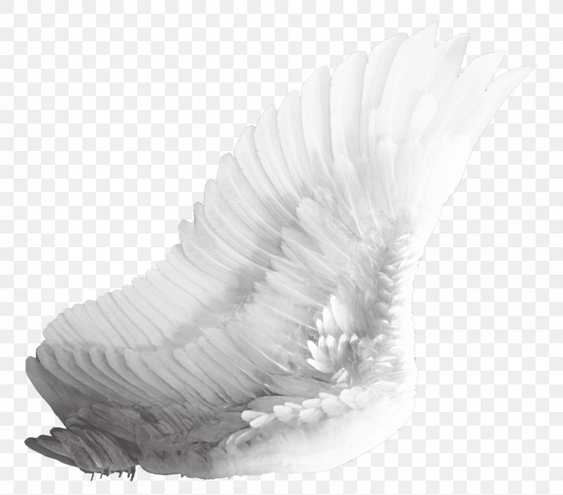 Clip Art Image White Angel Transparency, PNG, 850x748px, White Angel, Angel, Beak, Black And White, Drawing Download Free