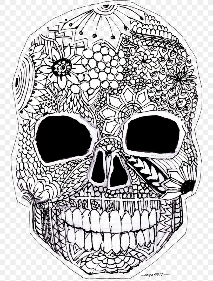 Skull Calvaria Bone Jaw Drawing, PNG, 738x1083px, Skull, Base Of Skull, Black And White, Bone, Calvaria Download Free