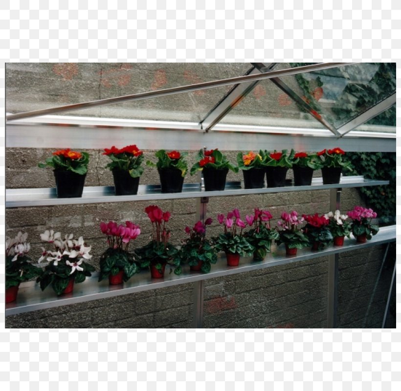 Greenhouse Aluminium Glazing Sunroom Roof, PNG, 800x800px, Greenhouse, Aluminium, Bulletproof Glass, Floristry, Flower Download Free