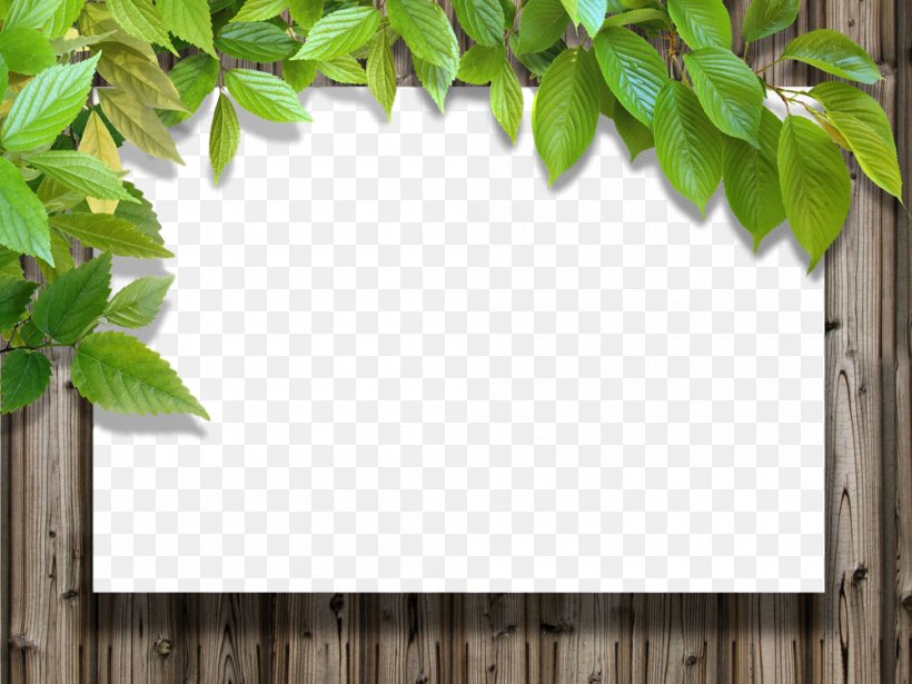 Picture Frame, PNG, 1000x750px, Green, Architecture, Branch, Leaf, Picture Frame Download Free