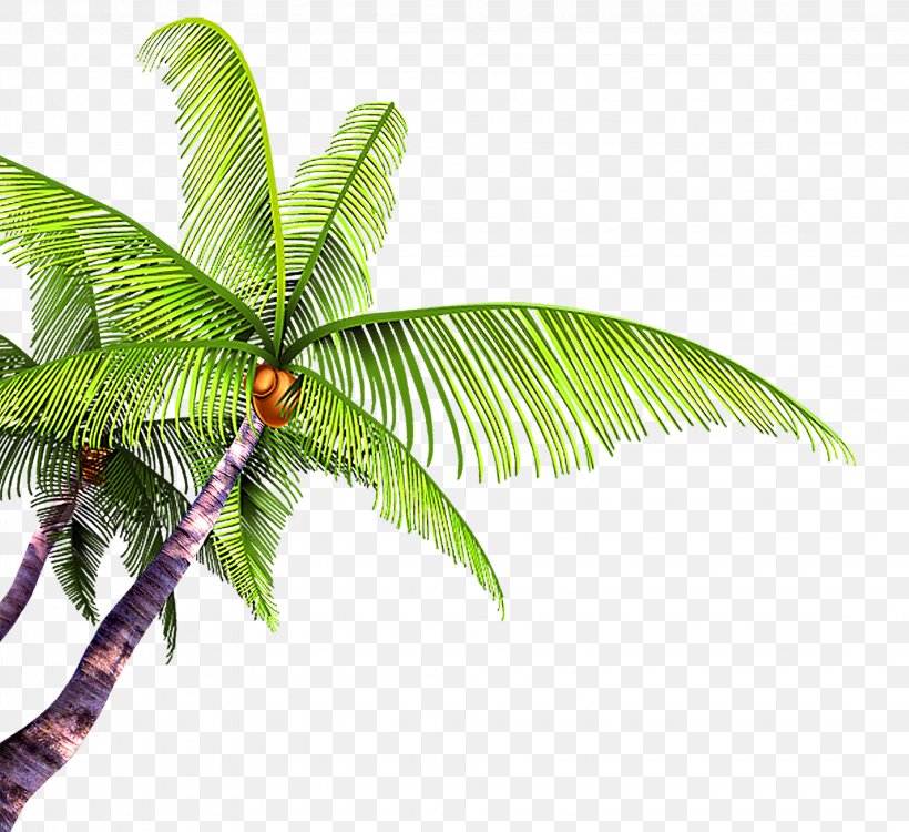 Summer Poster Beach, PNG, 1950x1785px, Summer, Arecales, Beach, Branch, Coconut Download Free