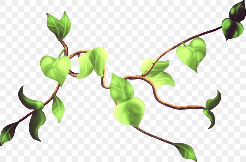 Twig Leaf Bud Clip Art, PNG, 3339x2201px, 2016, 2017, Twig, Branch, Bud Download Free