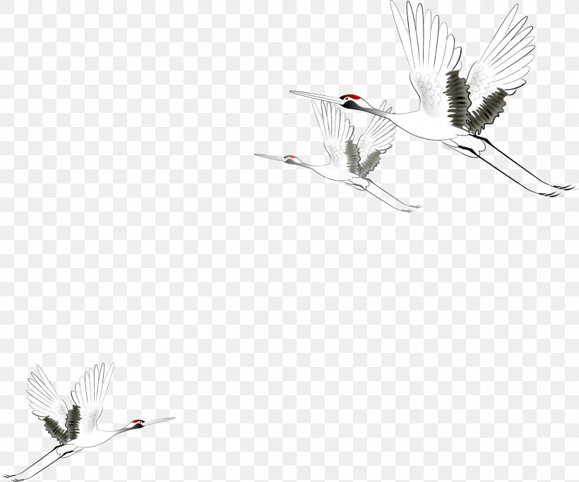 Crane Ink Wash Painting Drawing, PNG, 2398x1999px, Crane, Bird, Black And White, Feather, Floor Download Free