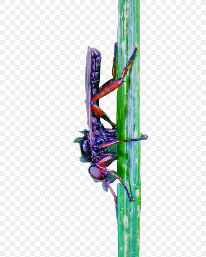Insect Plant Stem Plant Dragonflies And Damseflies Dragonfly, PNG, 1792x2236px, Insect, Dragonflies And Damseflies, Dragonfly, Flower, Plant Download Free