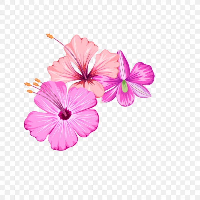 Clip Art Cut Flowers Transparency, PNG, 1024x1024px, Flower, Chrysanthemum, Cut Flowers, Floral Design, Flowering Plant Download Free