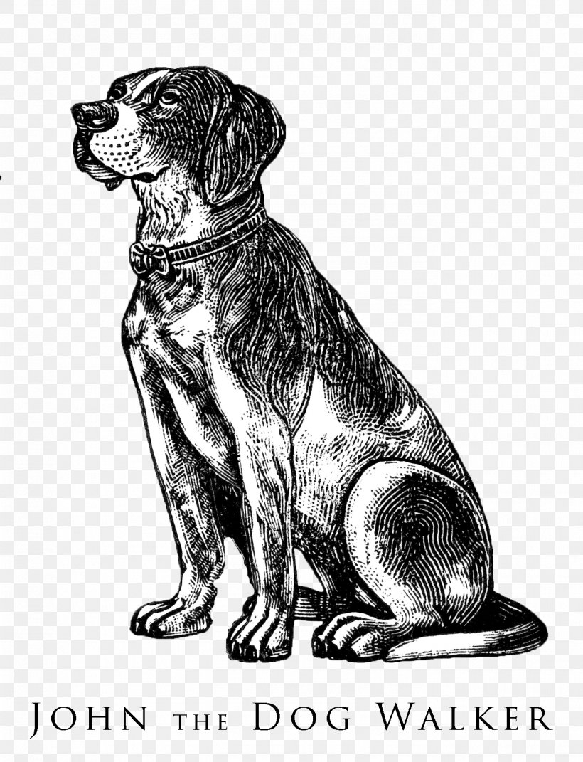 Beagle Bulldog Puppy Pointer Pet Sitting, PNG, 1377x1800px, Beagle, Animal Illustrations, Black And White, Bulldog, Carnivoran Download Free