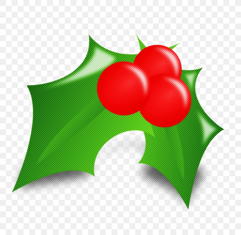 Holly, PNG, 800x800px, Green, Holly, Leaf, Logo, Plant Download Free