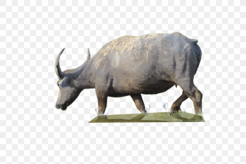 Horn Black Rhinoceros Animal Figure Rhinoceros Wildlife, PNG, 1024x683px, Horn, Animal Figure, Black Rhinoceros, Bovine, Bull Download Free