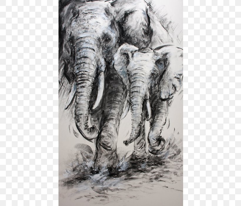 Indian Elephant African Elephant Drawing Wildlife Elephantidae, PNG, 700x700px, Indian Elephant, African Elephant, Animal, Black And White, Drawing Download Free