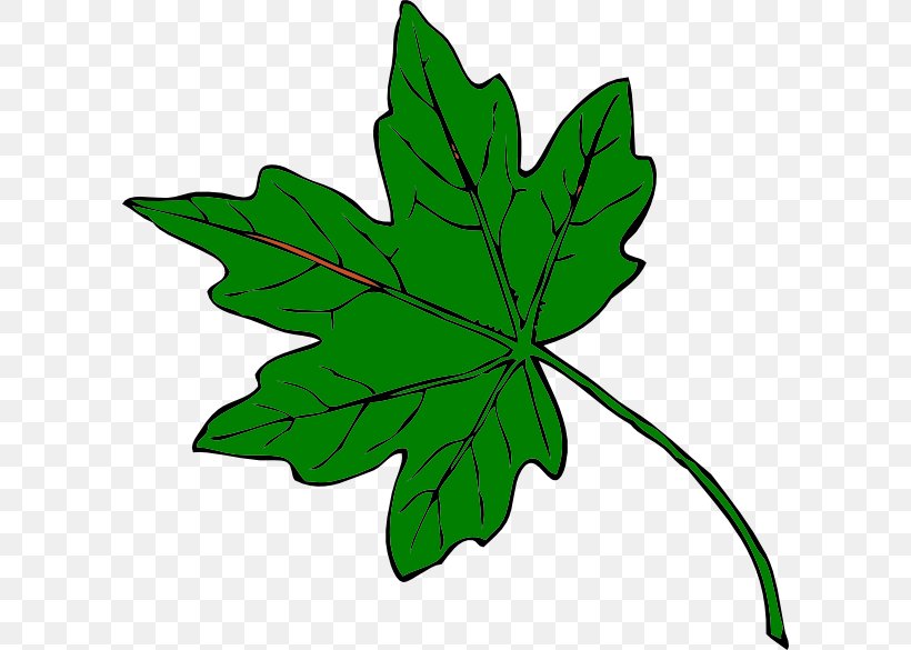 Maple Leaf Clip Art, PNG, 600x585px, Maple Leaf, Autumn, Drawing, Green, Leaf Download Free
