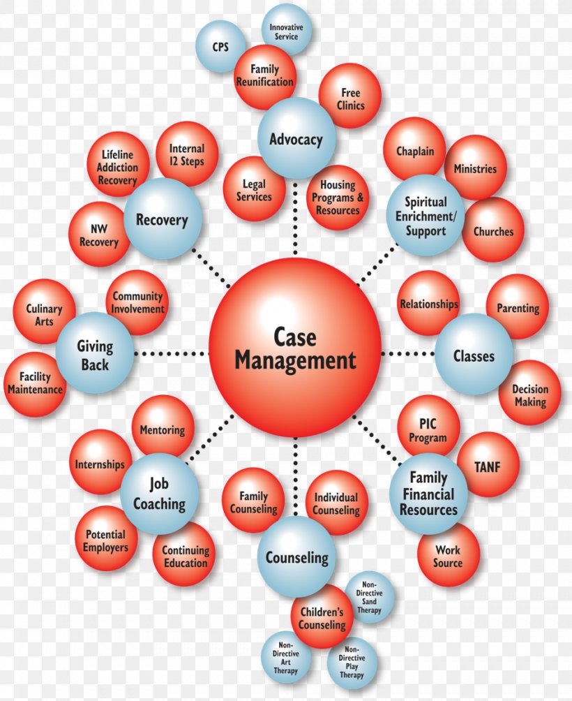 Medical Case Management Manager Diagram, PNG, 943x1155px, Management, Ball, Brand, Case Management, Diagram Download Free