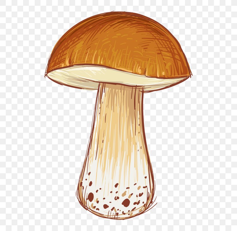 Cartoon Mushroom Illustration, PNG, 800x800px, Cartoon, Advertising