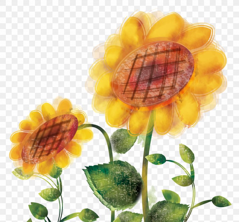 Common Sunflower Sunflower Oil Illustration, PNG, 1880x1755px, Common Sunflower, Child, Flower, Food, Fruit Download Free