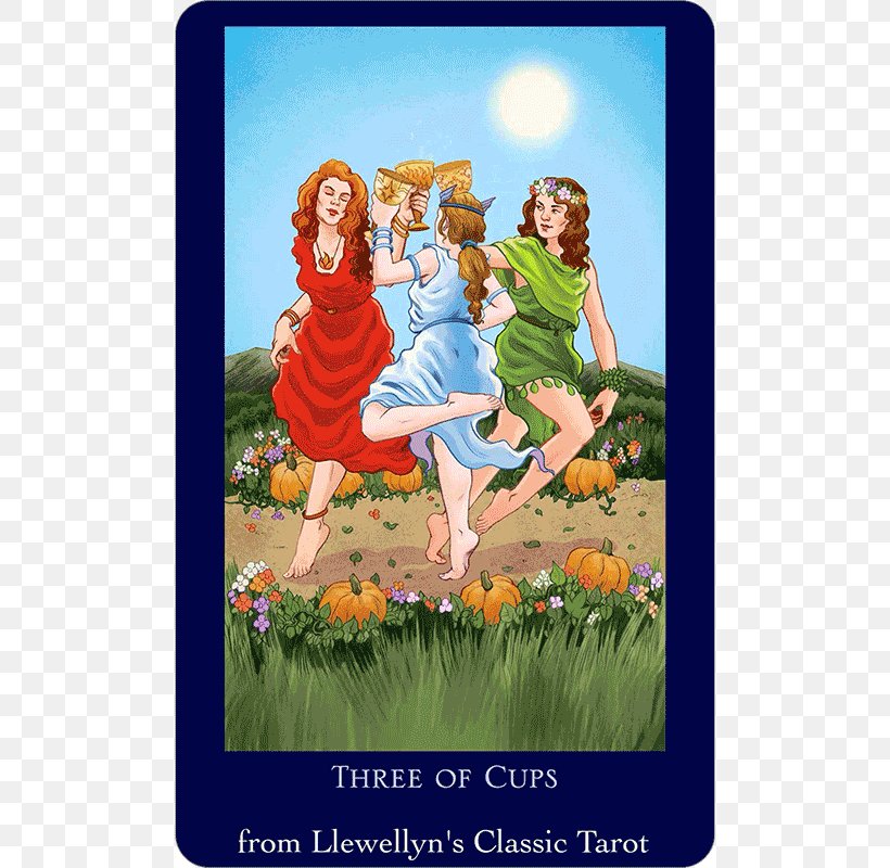 Your Tarot Your Way: Learn To Read With Any Deck Llewellyn Worldwide Five Of Cups Tarot Made Easy: Your Tarot Your Way, PNG, 600x800px, Tarot, Barbara Moore, Book, Fictional Character, Flower Download Free