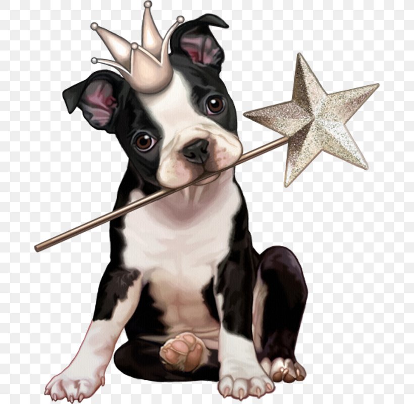 Clip Art Dog Puppy Illustration Drawing, PNG, 686x800px, Dog, Animal, Boston Terrier, Carnivoran, Christmas Day Download Free