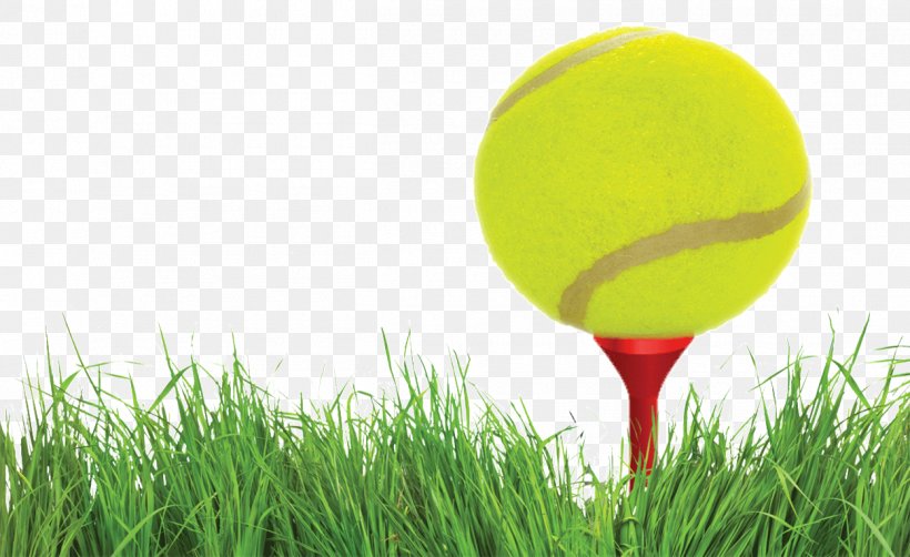 Golf Balls Tennis Balls, PNG, 1250x766px, Ball, Cricket Ball, Cricket Balls, Driving Range, Energy Download Free