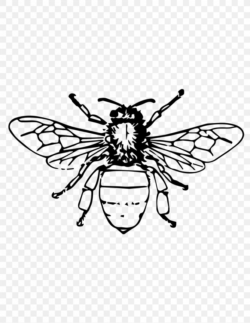 Honey Bee Beehive Queen Bee Beekeeping, PNG, 1000x1294px, Bee, Africanized Bee, Arthropod, Artwork, Bee Sting Download Free