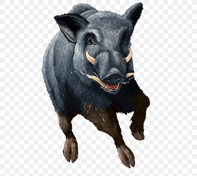 Icon, PNG, 500x730px, Wild Boar, Cattle Like Mammal, Cow Goat Family, Domestic Pig, Game Download Free