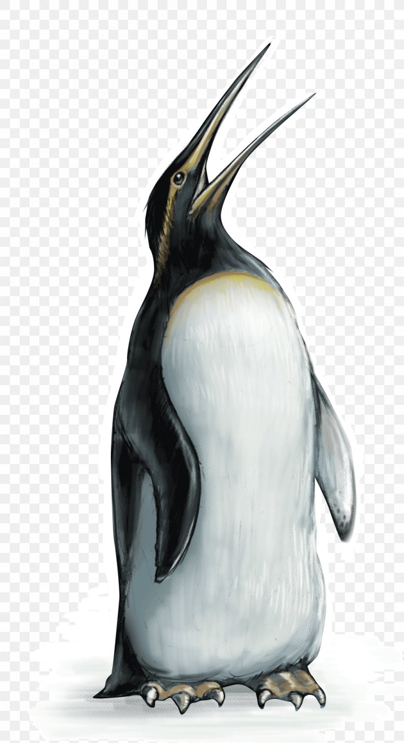 King Penguin Bird Dinosaur Moa Haast's Eagle, PNG, 1046x1921px, Watercolor, Cartoon, Flower, Frame, Heart Download Free