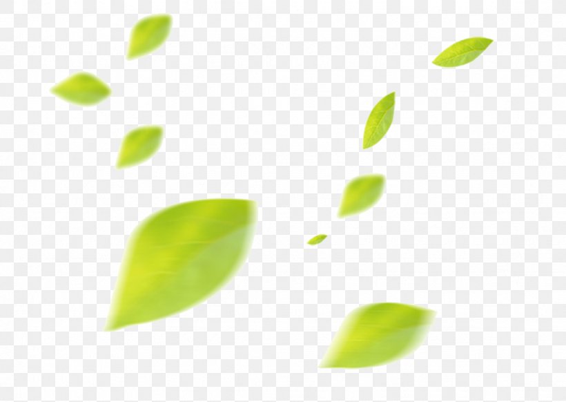 Leaf, PNG, 1024x727px, Leaf, Drawing, Google Images, Green, Yellow Download Free