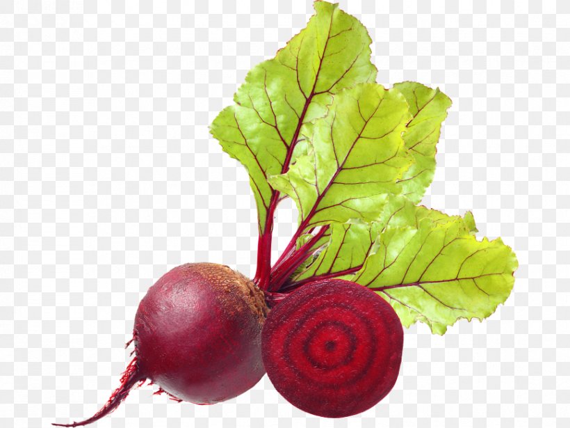 Vegetarian Cuisine Beetroots Chard Vegetable, PNG, 866x650px, Vegetarian Cuisine, Amaranthaceae, Beet, Beet Greens, Beetroot Download Free