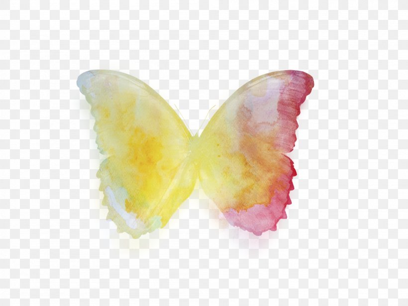 Butterfly Software, PNG, 2001x1501px, Butterfly, Cartoon, Color, Color Television, Designer Download Free