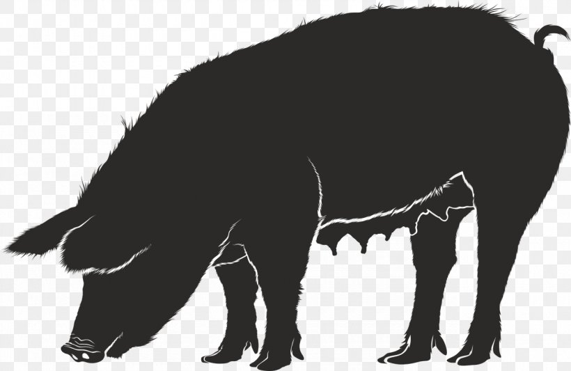 Clip Art Vector Graphics Free Content Pig Roast, PNG, 1280x833px, Pig Roast, Boar, Bovine, Domestic Pig, Grazing Download Free