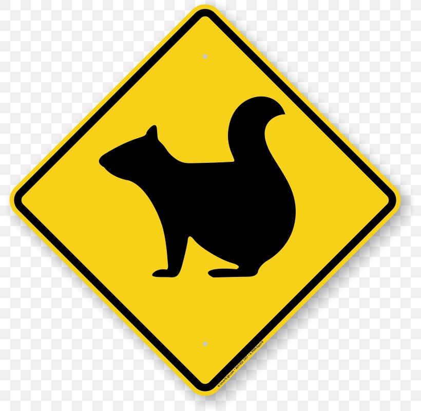 Driving Traffic Light Road Traffic Sign, PNG, 800x800px, Driving, Area, Beak, Bird, Car Download Free