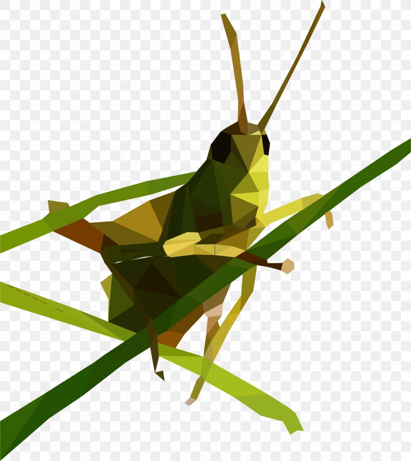 Grasshopper Low Poly Clip Art, PNG, 2230x2500px, Grasshopper, Arthropod, Cricket, Cricket Like Insect, Dactylotum Bicolor Download Free
