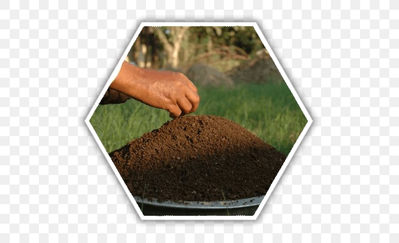 Vermicompost Soil Green Manure Fertilisers, PNG, 500x500px, Vermicompost, Agriculture, Biochar, Compost, Cover Crop Download Free