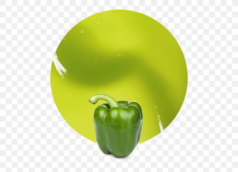 Yellow Pepper Bell Pepper Vegetable Purée Fruit, PNG, 536x595px, Yellow Pepper, Apple, Bell Pepper, Bell Peppers And Chili Peppers, Company Download Free