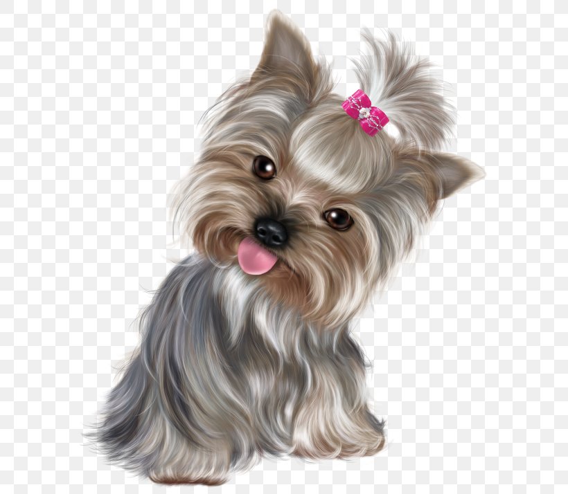 Happiness Monday Wish Morning, PNG, 605x714px, Happiness, Australian Silky Terrier, Biewer Terrier, Blessing, Cairn Terrier Download Free