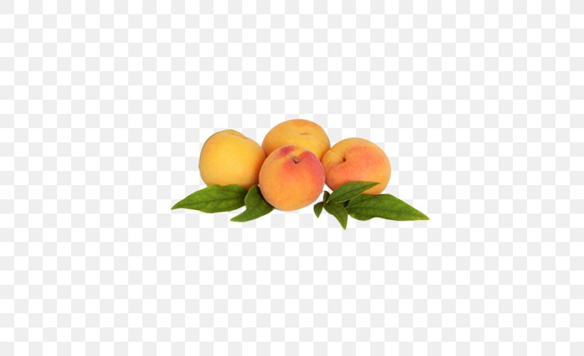 Stock Photography Apricot Fruit Plum, PNG, 540x500px, Stock Photography, Apricot, Citrus, Food, Fruit Download Free