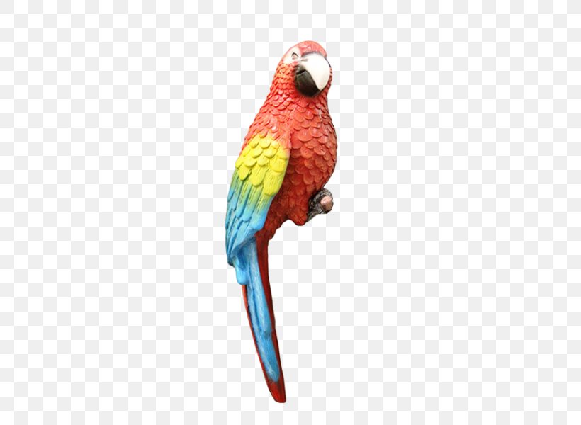 Bird Parrots Blue-and-yellow Macaw Parakeet Perroquet, PNG, 600x600px, Bird, Beak, Blueandyellow Macaw, Common Pet Parakeet, Feather Download Free