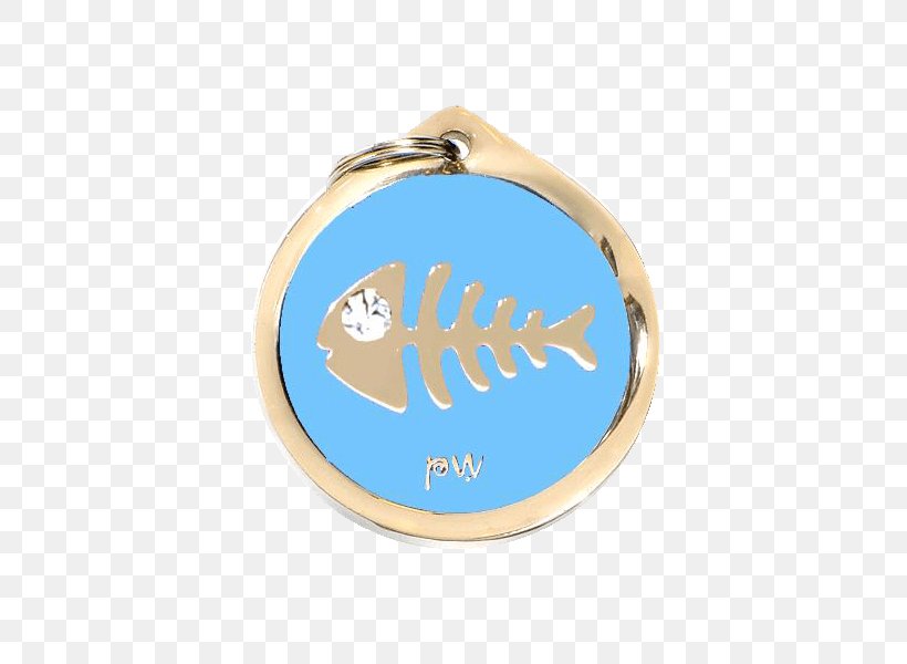 Cat Identifica A Tu Mascota Steel Text Aqua, PNG, 600x600px, Cat, Aqua, Blue, Brass, Chrome Plating Download Free