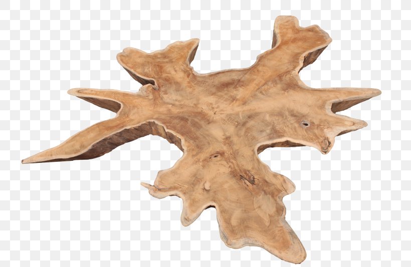 Coffee Tables Wood Kayu Jati Couchtisch Root, PNG, 800x533px, Table, Bijzettafeltje, Coffee Tables, Eettafel, Kayu Jati Download Free