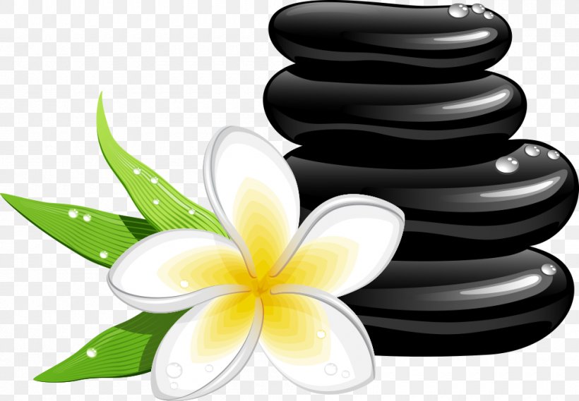 Spa Cosmetology Massage Clip Art, PNG, 1000x695px, Spa, Cartoon,  Cosmetology, Day Spa, Flora Download Free