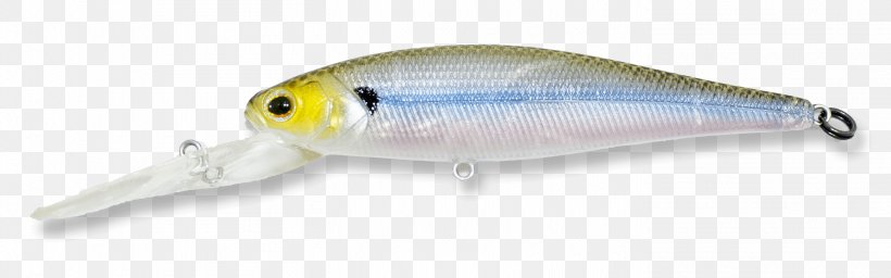 Bass Worms Fishing Technology Television Show, PNG, 2824x884px, Bass Worms, Bait, Fish, Fishing, Fishing Bait Download Free