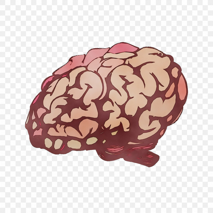 Brain M-brain Maroon Mind, PNG, 1440x1440px, Watercolor, Brain, Cartoon, Editing, Maroon Download Free