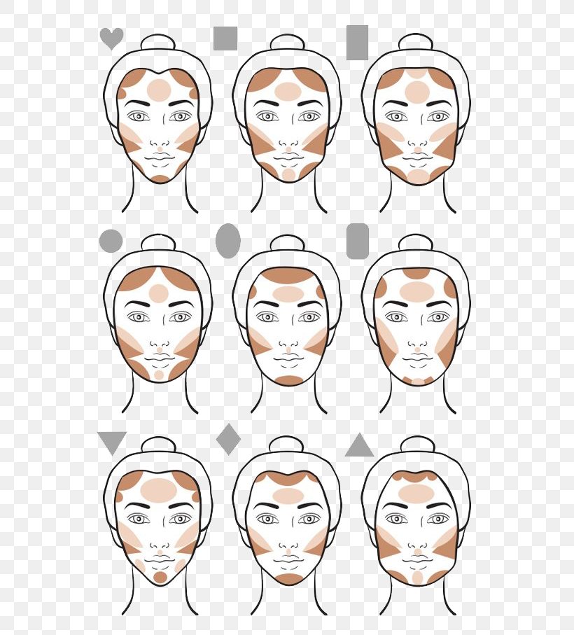 Cosmetics Contouring Face Beauty Parlour Makeup Brush, PNG, 564x907px, Cosmetics, Beauty Parlour, Cartoon, Cheek, Communication Download Free